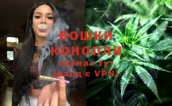 спиды Белокуриха